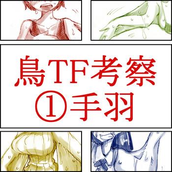 Lolicon Tori TF ni Kansuru Kousatsu to Renshuu Compilation