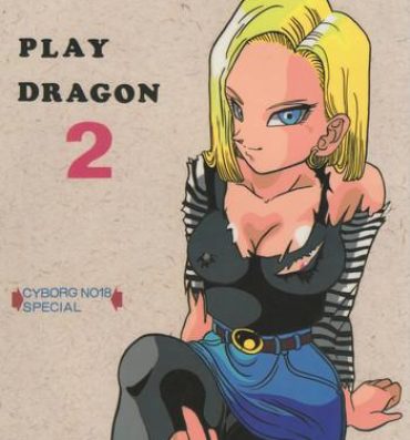 Private Sex Play Dragon 2- Dragon ball z hentai Public Nudity
