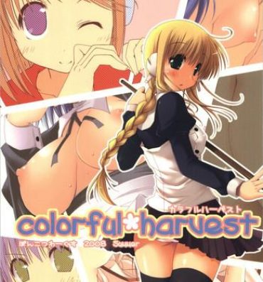 Scissoring colorful harvest- Toheart2 hentai Glamour