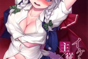 Oil Ikenai Shujuukankei- Touhou project hentai Bigtits